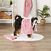 Rose Printed Trellis Paw Small Pet Towel (Set Of 3) Image 3