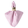 Rose Solid Chambray Napkin (Set Of 6) Image 2