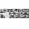 Roylco Dental Xrays Image 2