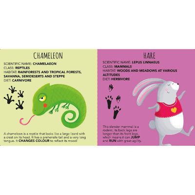 Sassi: Edu-Blocks - Animals - 10 Stacking Cubes &amp; Booklet, Nature, Shapes Image 3