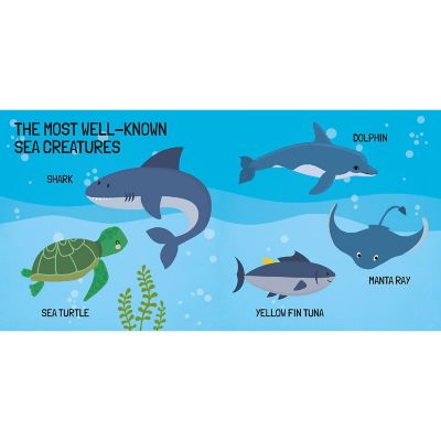 Sassi: Q-Box - The Sea - 40pc Puzzle,Booklet &amp; 10 Ocean Figures,Interactive Fun Image 3