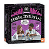 Science Academy: Crystal Jewelry Lab Image 1