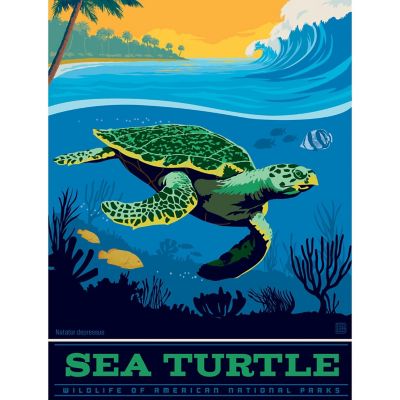Sea Turtle 300 Piece Jigsaw Puzzle Image 2