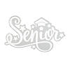 Senior Window Cling Image 1