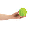 Sensory Ball Set Image 1