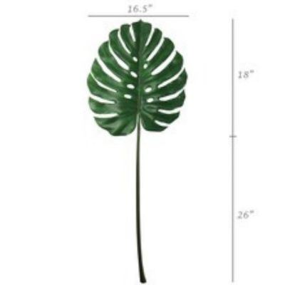 Set of 2: Split Philodendron Leaf Stems Image 1