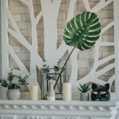 Set of 3: Split Philodendron Leaf Stems Image 3