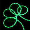 Sienna 102' Green Outdoor Decorative Christmas Rope Lights Image 1
