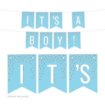 Silver Glitter Its Twins Pennant - 4 x 5.5 Inch Image 1
