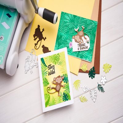 Sizzix 3D Textured Embossing Folder By Catherine Pooler-Jungle Textures Image 3