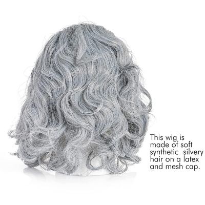 Skeleteen Grey Benjamin Franklin Wig - Receding Hairline Old People Senior Citizen Gray Balding Costume Wigs Dress Up Accessories Head Cap Image 3