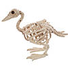 Skeleton Baby Duck Prop Image 2