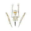 Skeleton Body Pumpkin Poke-Ins Halloween Decoration - 5 Pc. Image 1