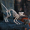 Skeleton Cat Halloween Decoration Image 1