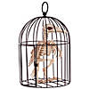 Skeleton Crow in a Cage Image 1