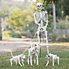 Skeleton Dog Walker Halloween Decorating Kit - 4 Pc. Image 1