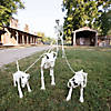 Skeleton Dog Walker Halloween Plastic Decorating Kit - 4 Pc. Image 2