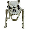 Skeleton Dog Image 1