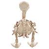 Skeleton Duck Decoration Image 1