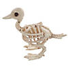 Skeleton Duck Decoration Image 2