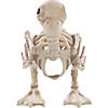 Skeleton Duck Decoration Image 3