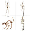 Skeleton Family Picnic with Pet Halloween Decorating Kit - 5 Pc. Image 1