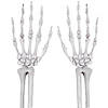 Skeleton Hands Image 1