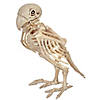 Skeleton Parrot Prop Image 1