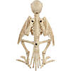 Skeleton Parrot Prop Image 1