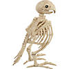 Skeleton Parrot Prop Image 2