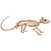 Skeleton Rat Decoration Image 1