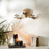 Skeleton Wall Decor Set 3.87X3X5.75" Image 1