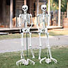 Skeletons Walking Pet Spiders Halloween Decorating Kit - 4 Pc. Image 1