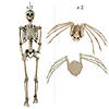 Skeletons Walking Pet Spiders Halloween Decorating Kit - 4 Pc. Image 1