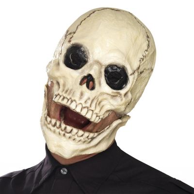 Skull Face Mask Costume Accessory Image 1
