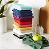 Solid Spice Waffle Terry Dishtowel (Set Of 4) Image 2
