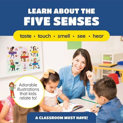 Spark Five Senses Poster Laminated 17 x 24 Preschool Educational Classroom Chart Image 1