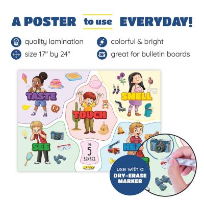 Spark Five Senses Poster Laminated 17 x 24 Preschool Educational Classroom Chart Image 2