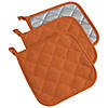 Spice Terry Potholder (Set Of 3) Image 1