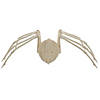 Spider Skeleton Halloween Decoration Image 1