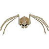 Spider Skeleton Halloween Decoration Image 3