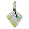 Spring Plaid Napkin (Set Of 6) | Oriental Trading