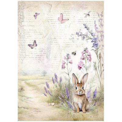 Stamperia Acetat Blätter A4 - 6 Blatt Sleeping Beauty Motiv Für Basteln
