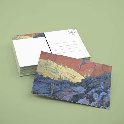 Stonehouse Collection  Assorted Desert Postcards - 4 x 6 - 40 Cactus Postcards (Assorted) Image 1