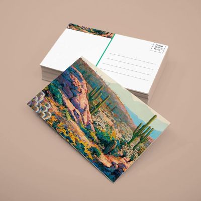Stonehouse Collection  Assorted Desert Postcards - 4 x 6 - 40 Cactus Postcards (Assorted) Image 2