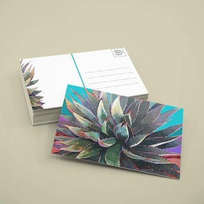 Stonehouse Collection  Assorted Desert Postcards - 4 x 6 - 40 Cactus Postcards (Assorted) Image 3
