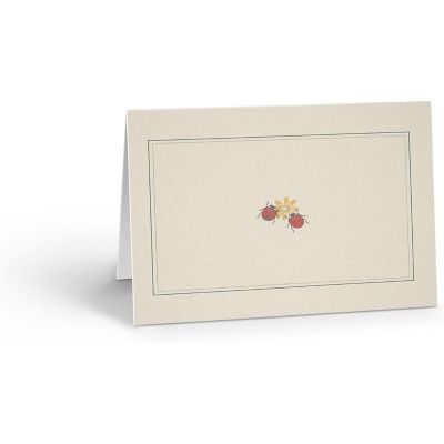 Stonehouse Collection Delicate Ladybug Print 10 Boxed Note Cards and Envelopes (Ladybugs) Image 1