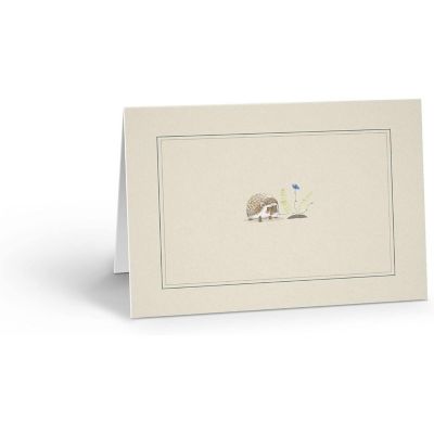 Stonehouse Collection Delicate Printed Hedgehog 10 Boxed Note Cards and Envelopes (Hedgehog) Image 1