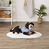 Stonewash Blue Printed Trellis Paw Small Pet Robe Image 2