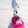Stratos Sled: Monster Pink Image 2